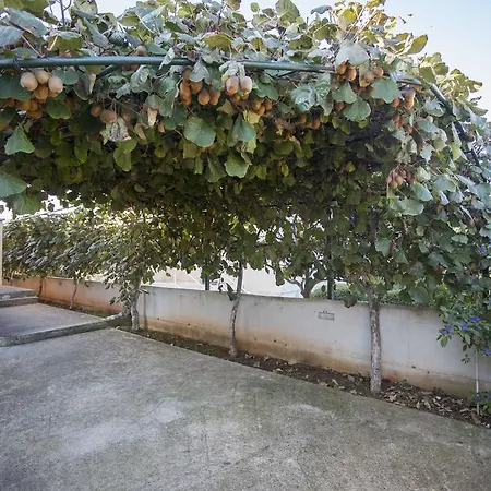 Marinkovic Apartment Vodnjan